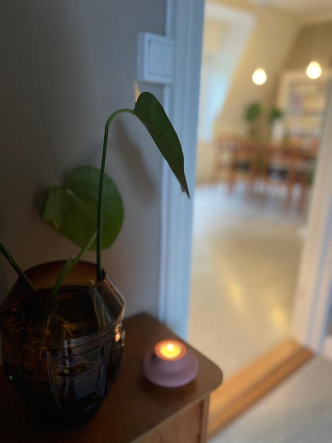 Charming Apartment In Alesund Center With Free Parking Exteriör bild